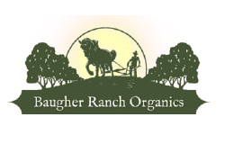 Baugher Ranch Organics logo with icon of farmer in field with trees in green with yellow sun setting in background